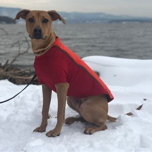 RuffWear Powder Hound Jacket Sockeye Red Size Small
